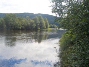 CIMG2116 (Large).JPG